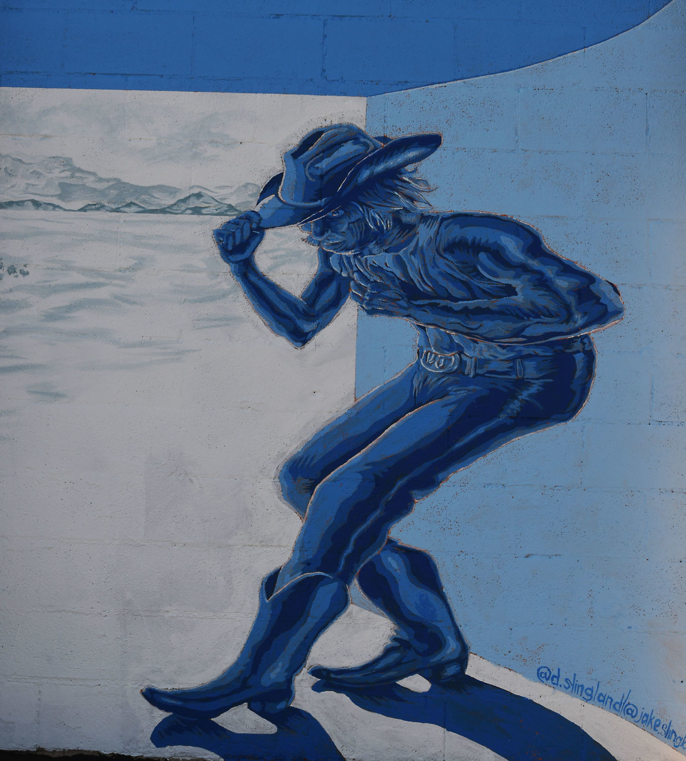 Blue Buckaroo